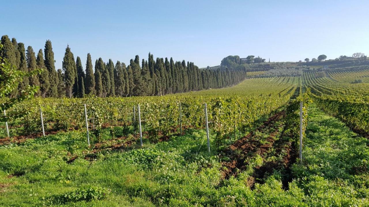 Tenuta Di Pietra Porzia Monte Porzio Catone Exterior foto